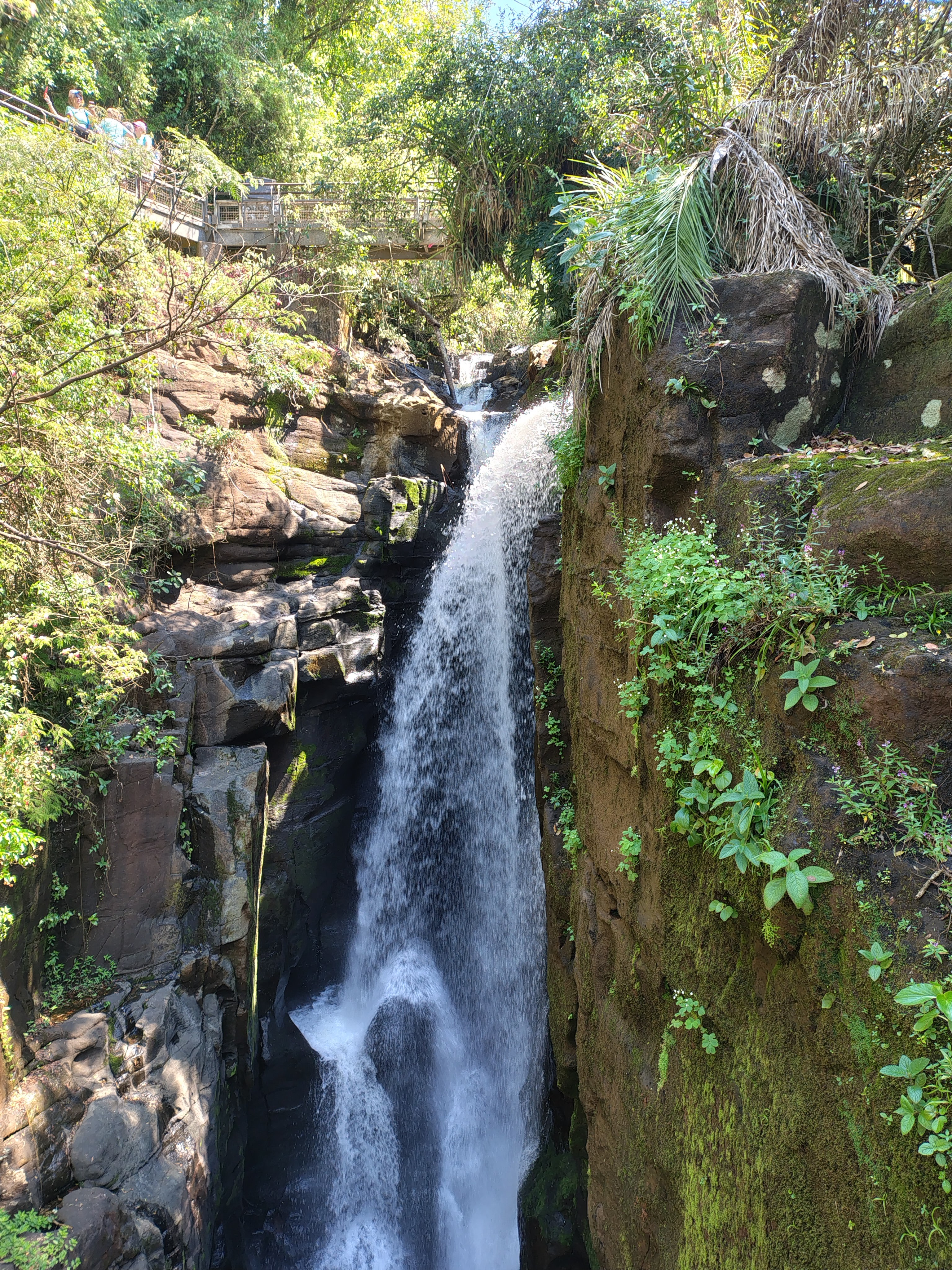 Trilha das Cataratas — gallery photo 13